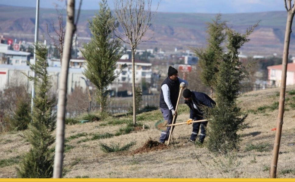 Esentepe’nin Çehresi Değişiyor: Batman’da Yeşil Seferberlik