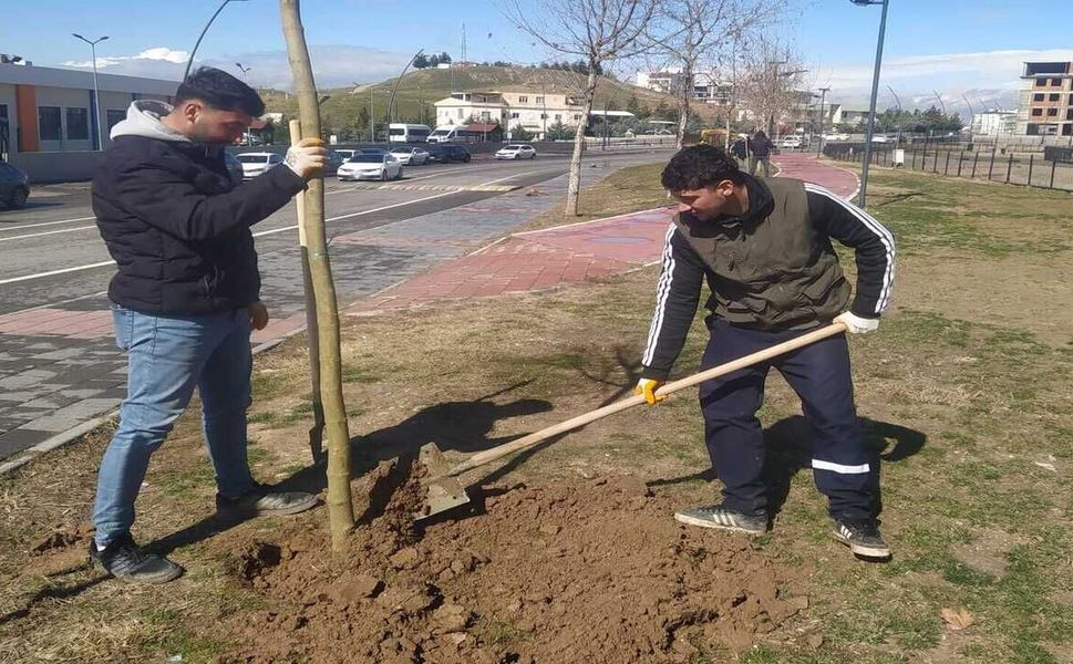 Batman’da İki Ayda 2 Bin 157 Fidan Toprakla Buluştu