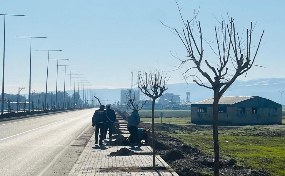 Batman–Hasankeyf Yolunda 20 Kilometrelik Yeşil Kuşak Çalışması
