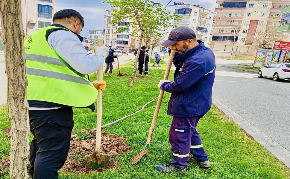 Batman’da 13 Günde 1000 Ağaç Toprakla Buluştu