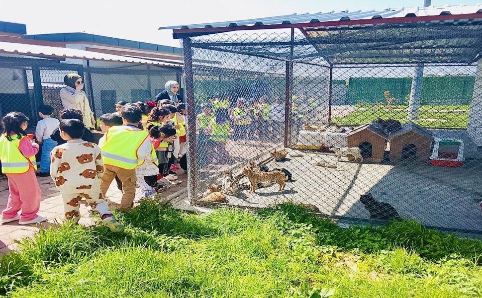 Batmanlı Öğrenciler Sordu, Veteriner Hekimler Cevapladı
