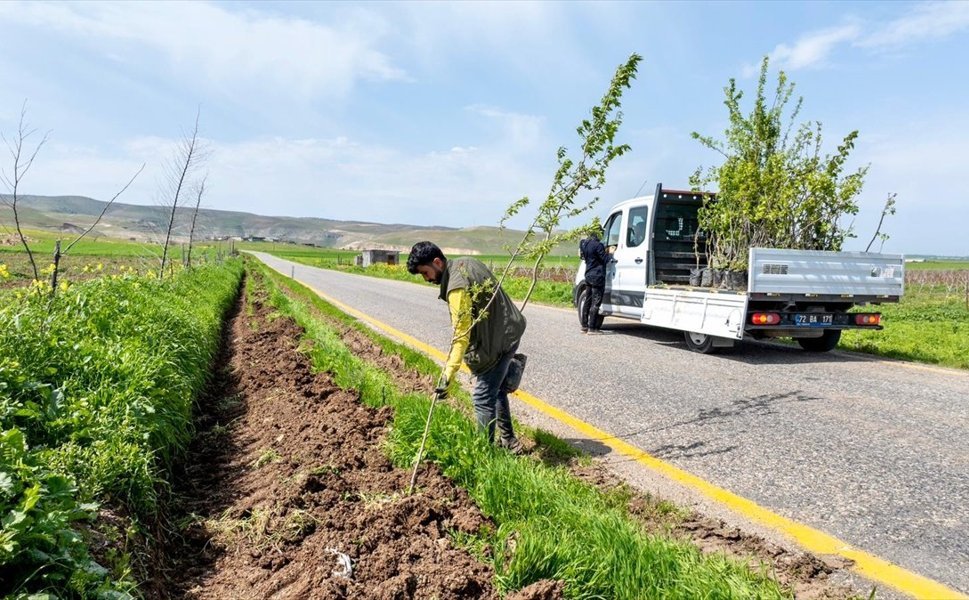 Batman Köy Yolları Meyve Bahçesine Dönüşüyor
