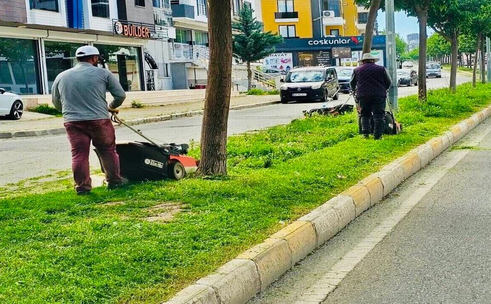 224 Parkta Eş Zamanlı Bakım ve Peyzaj Çalışması