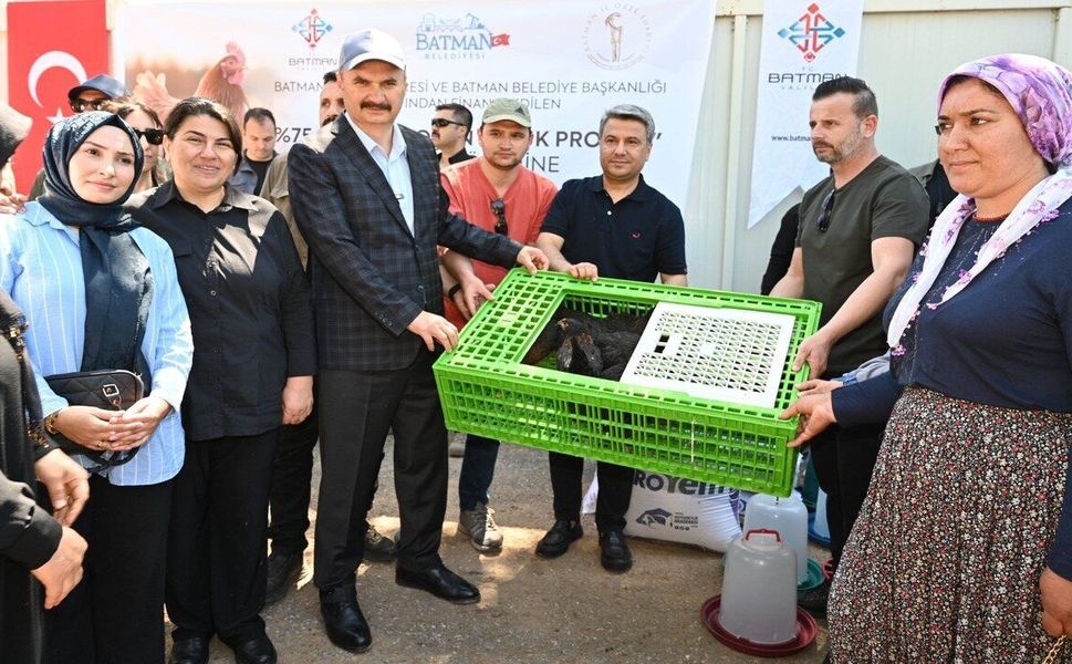 Batman’da "Koşan Tavuk" Dönemi Başladı