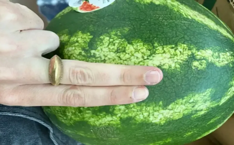 İyi Karpuz Seçmenin "İki Parmak" Sırrı