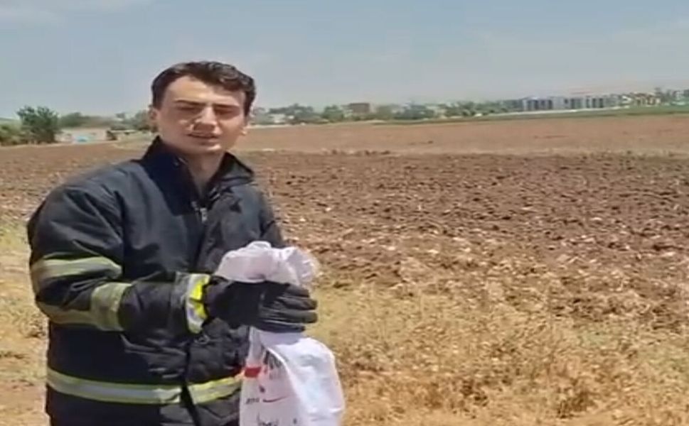 Yılan Bahçeden Okulun Toplantı Salonuna Girdi