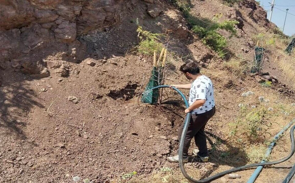 Sason’da Meyve Veren Ağaç Projesi Kapsamında Sulama Çalışmaları Sürüyor