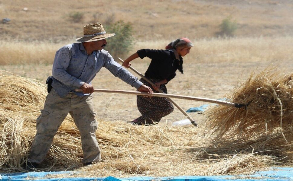 Hasankeyf'te 42 Derece Sıcakta Zorlu Patoz Mesaisi
