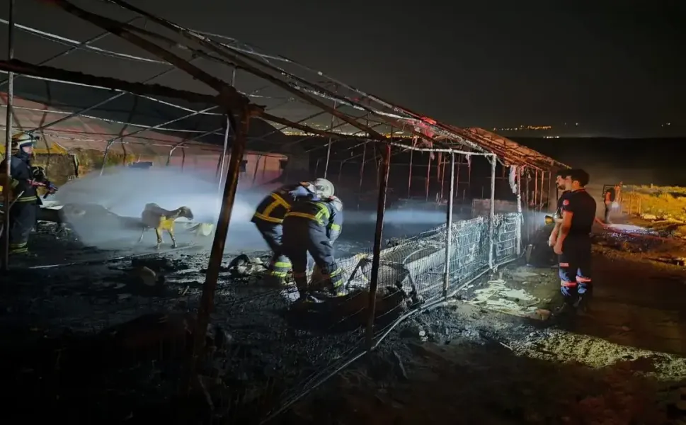 Kayabağı’nda Ahır Yangını